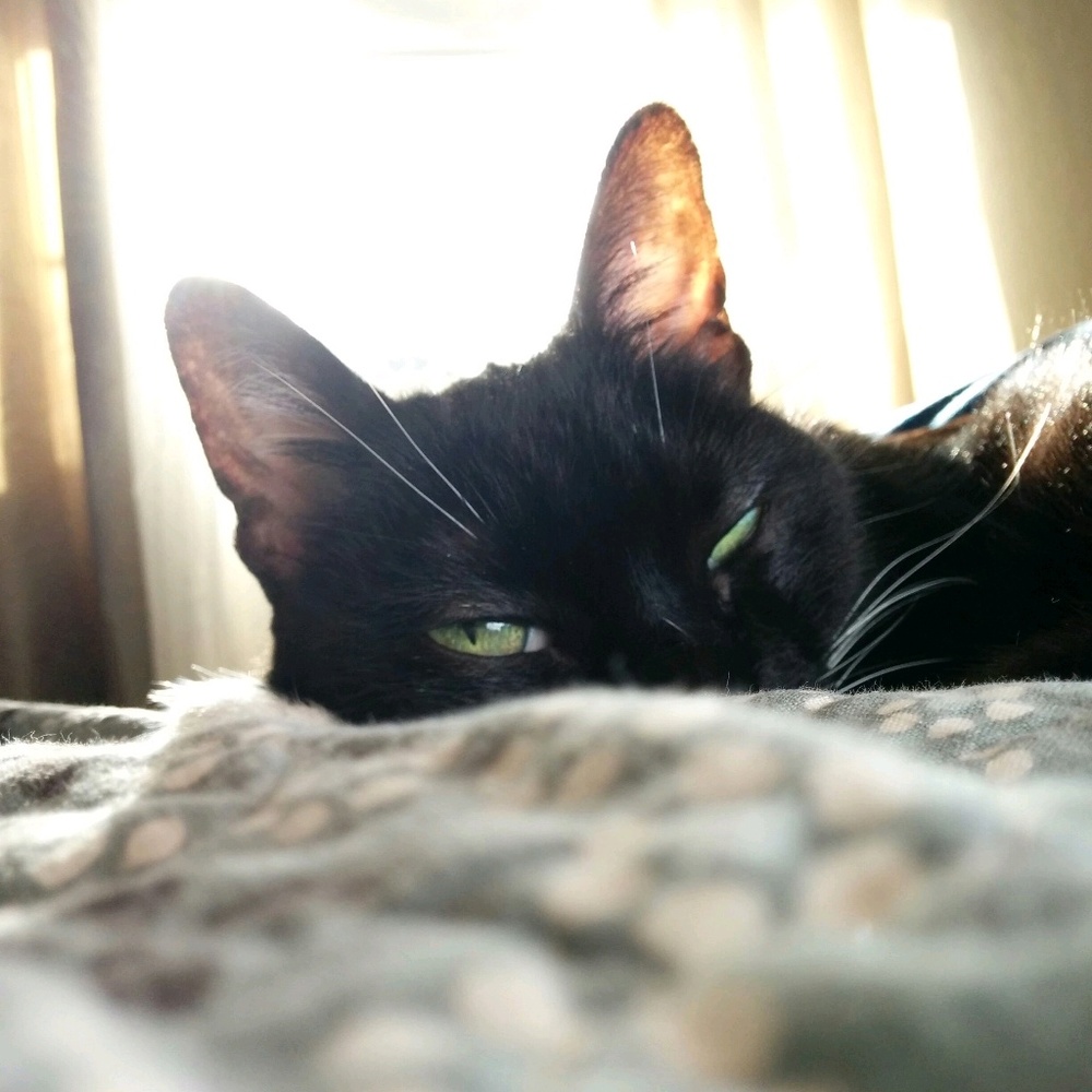 Meet your Posher, Kathryn